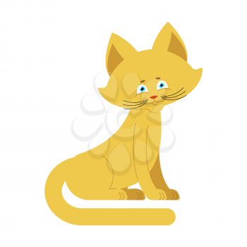 Cat yellow isolated. Cute kitten sits on white background
