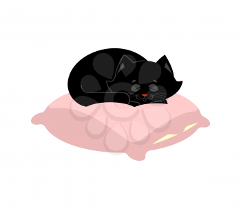 Black Cat sleeps on pillow. Sleeping kitten pet