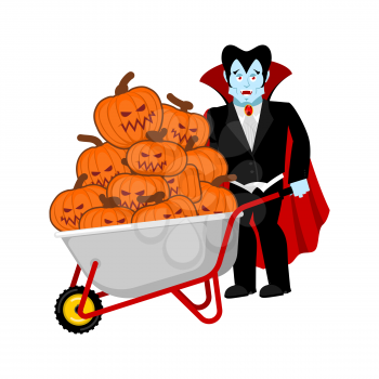 Halloween wheelbarrow and vampire dracula. bunch of terrible pumpkins. Vintage pumpkin. Vector illustration
