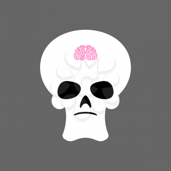 Skull and small brain. X-ray of stupid. Little mind and skeleton head. 
