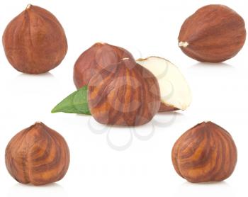 hazelnut nut isolated on white background