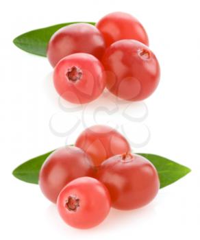 ripe cranberry isolated on white background collage