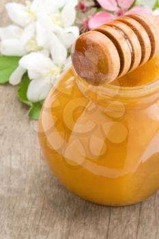 honey in glass jar and stick with blossom flowers