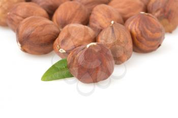 hazelnut nut isolated on white background