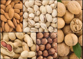 set of nuts fruit collage background