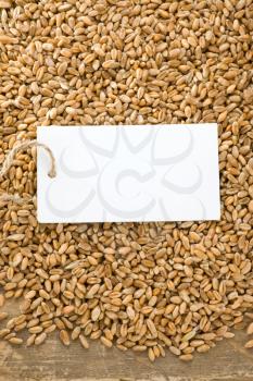 wheat grain on wood texture background