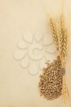 wheat ears and parchment texture