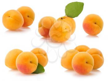 apricot fruit isolated on white background