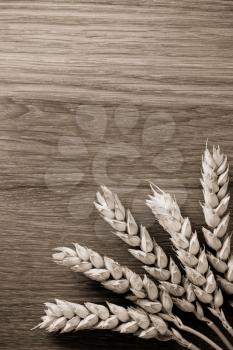 ears of wheat on wooden background