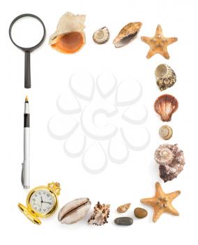 seashell and sea concept isolated on white background