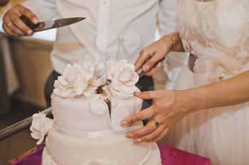 Newly-married couple cuts a wedding cake.