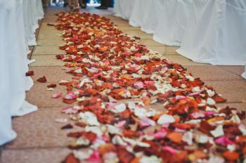 Road of love from petals of roses.