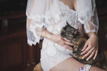 Tricolor cat in the hands of the bride.