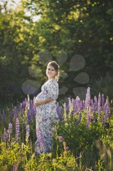 Beautiful portrait of a girl standing in the field of blooming Lupin.
