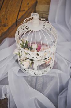 Beautiful bird cage as an element of decoration of the hall.