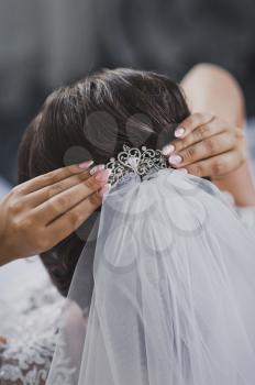 Large photo of the brides wedding hairstyle, decorated with a veil and hairpins.