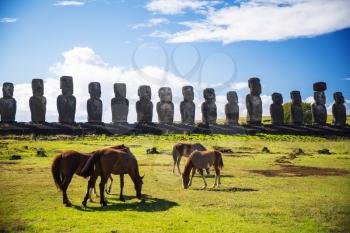 Wild horses against Ahu Tongariki. Easter Island