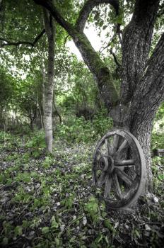 wooden wheel standing in the woods.