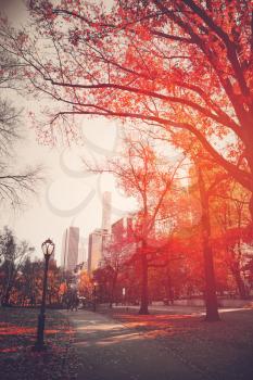 New York City Manhattan Central Park . black and white photo with the color red.