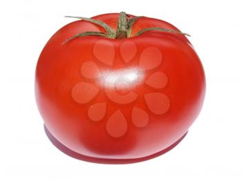 The big red tomato on a white background