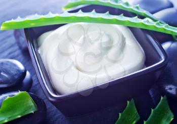 Aloe Vera with Lotion Box on a table