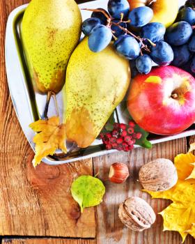autumn harvest on the wooden background, fruits and vegetables