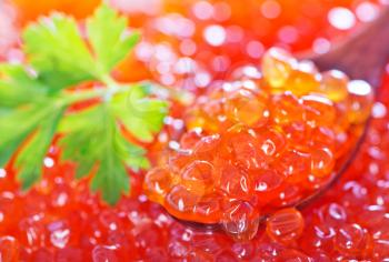 red salmon caviar, background from salmon caviar
