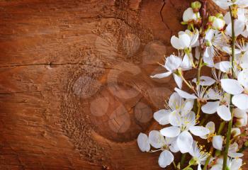 flowers on wooden background