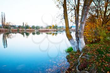 Autumn lake. Sunset at the autumn lake