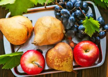 autumn fruits on the wooden table, autumn harvest