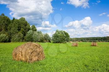 Field with haystacks and trees near the forest under blue sky with white clouds under sunlight