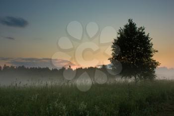 Sunset over the meadow under fog with trees in the dark