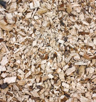 Heap of dirty woodchips with bark natural background