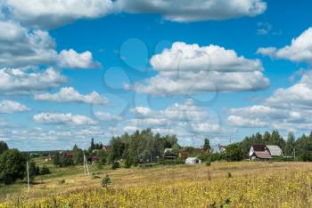 Summer natural agricultural field landscape: beautiful meadow with yellow wildflowers under summer blue sky with white clouds under bright summer sunlight near village, summer landscape