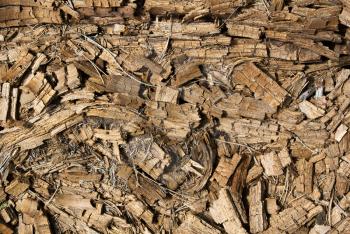 Rotted dry mouldering crushed pine tree trunk wooden natural textured background closeup. Old age, death and destruction creative concept.
