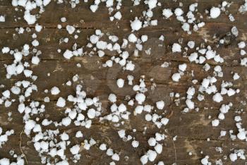Small white snowflakes of first snow on dirty wooden floor close-up top view