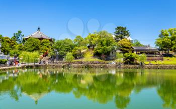 Kofuku-ji temple above Sarusawa-ike Pond in Nara - Japan