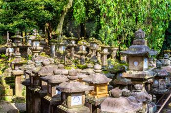 Stone lanterns at Tamukeyama Hachimangu Shrine in Nara, Japan