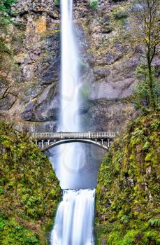 Multnomah Falls in the Columbia River Gorge - Oregon, USA