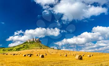 View of Spissky hrad castle and a field with round bales in Slovakia, Central Europe