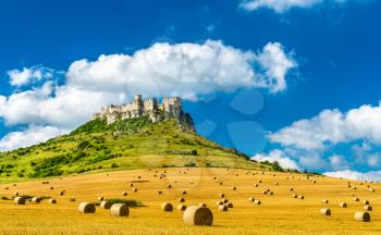 View of Spissky hrad castle and a field with round bales in Slovakia, Central Europe