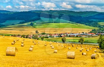 Straw bales on a wheat field in Slovakia, Central Europe
