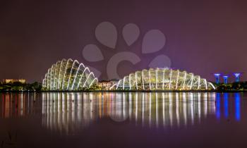 Night view of Gardens by the Bay, a nature park in Singapore