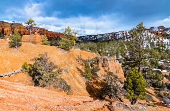 View of the Red Canyon within Dixie National Forest in Utah, the United States