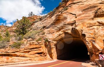 Tunnel through the rocks at Zion National Park - Utah, United States