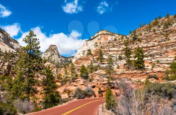 The scenic Zion-Mount Carmel Highway at Zion National Park - Utah, United States