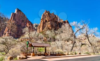 Bus Stop at Scenic Drive in Zion National Park - Utah, United States