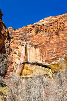 Weeping Rock in Zion National Park - Utah, United States