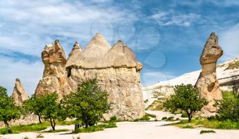Fairy Chimney rock formations at Goreme National Park in Cappadocia, Turkey