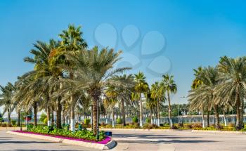 Corniche Promenade Park in Doha, Qatar. The Middle East